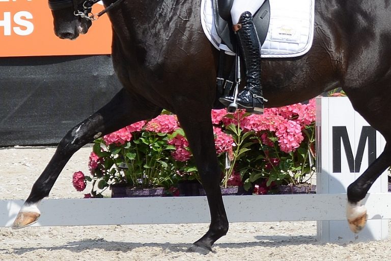 Jumping Mechelen: Van der Meer en Visser opnieuw op podium