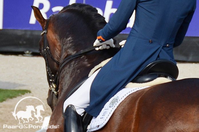 Dressuur. Foto: Tabitha de Bie - Paard & Ponygids