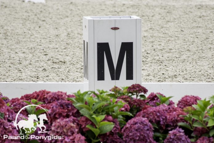 /images/dressuur 29102017.jpg