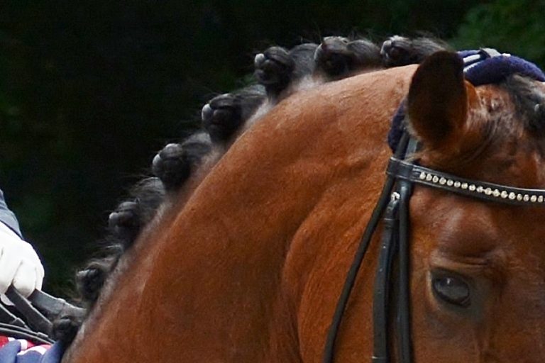 Eyecatcher, Future en Gigi Valentina winnen in Moergestel