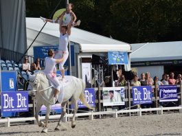 /images/dutch vaulting team.jpg