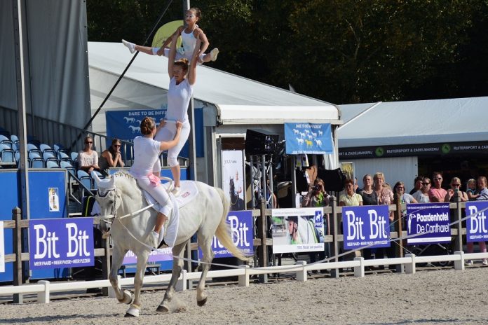 /images/dutch vaulting team.jpg