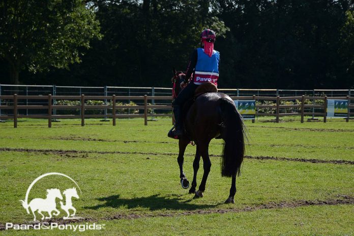 /images/endurance 16042016.jpg