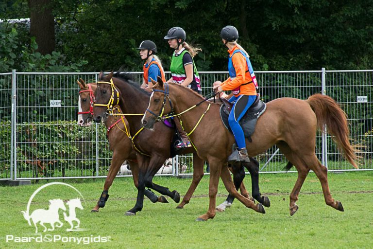 Sterk Endurance deelnemersveld op CEI Ermelo
