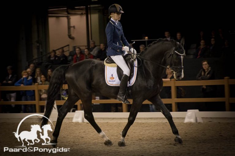 Para-dressuur Waregem: Vierde plaats voor Estée Gerritsen in kür