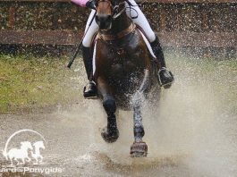 Dutch Open Eventing Masters
