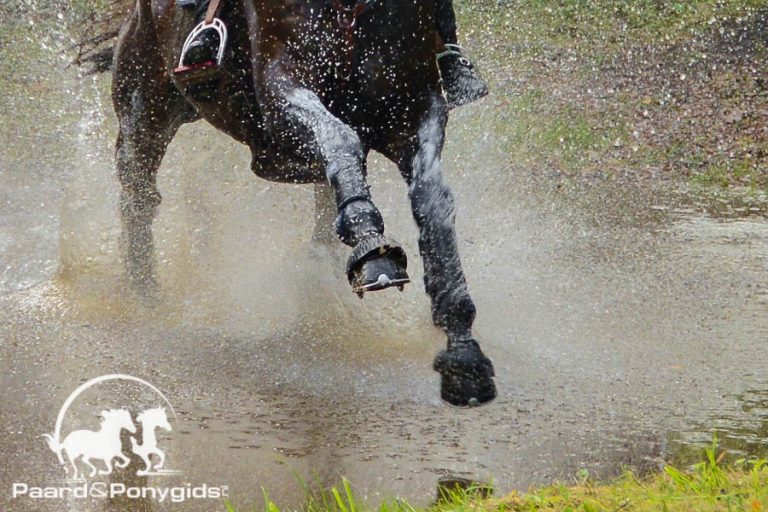 De KNHS Eventing Cup 2017 is van start gegaan