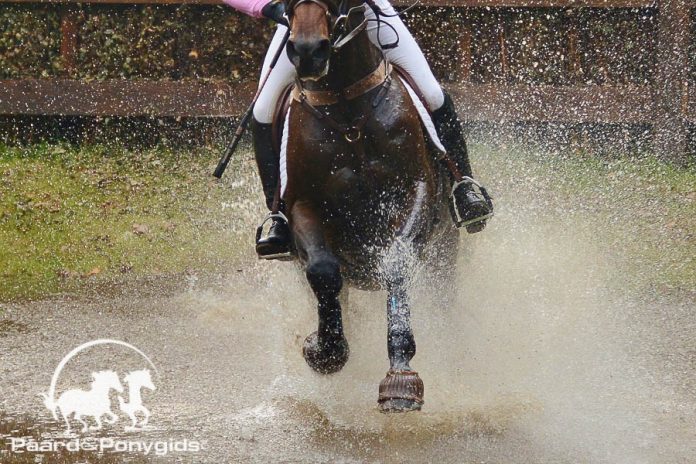 /images/eventing 08082016.jpg