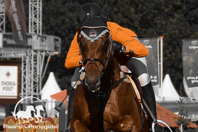 /images/eventing 09082016.jpg