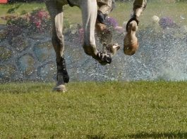 /images/eventing 12022016.jpg
