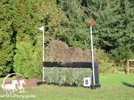 /images/eventing 20082016.jpg