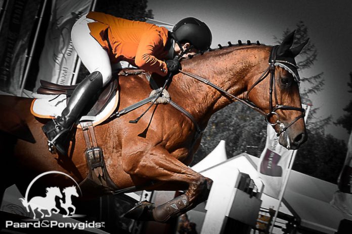 /images/eventing 2 09082016.jpg