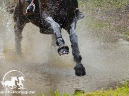 Europees Kampioenschap eventing Young Riders en Junioren