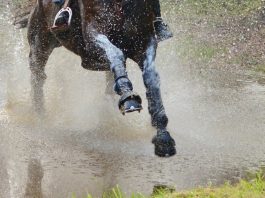 /images/eventing 23122015.jpg