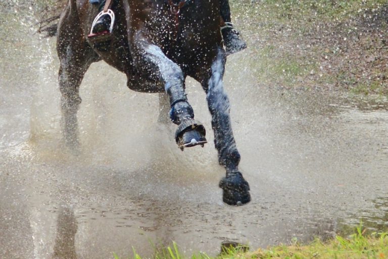 William Fox-Pitt na ongelukkige valpartij weer terug in het zadel