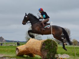/images/eventing 26022016.jpg