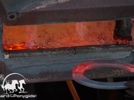 /images/hoefsmid 11122017.jpg