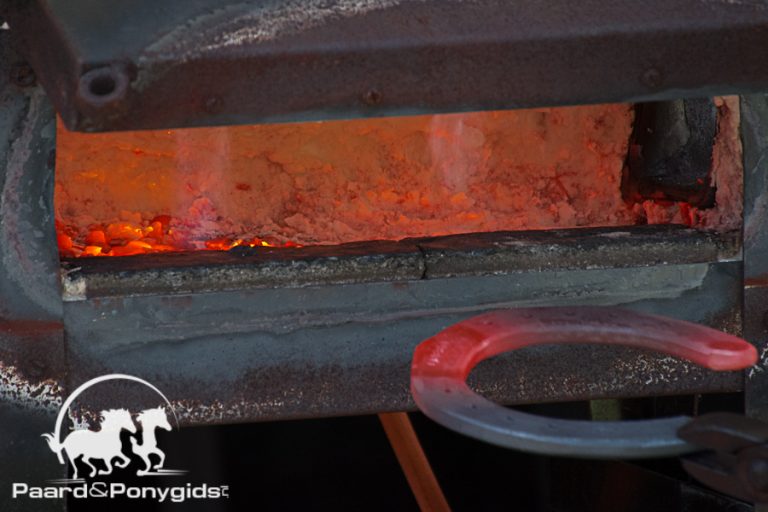 Gerrie de Crom stopt als teamhoefsmid