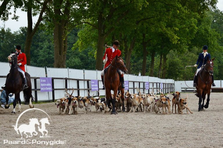 Roel van Swetselaar wint met Callisto Sunrise NK Jachtpaarden