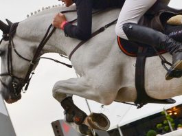 /images/jumping 16122015.jpg