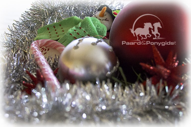 Wij wensen u heel fijne kerstdagen