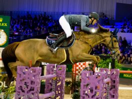 /images/kevin Staut 1.jpg