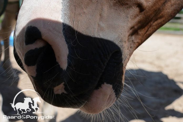 /images/neus 17122016.jpg