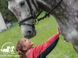 /images/paard en kind 13102016.jpg