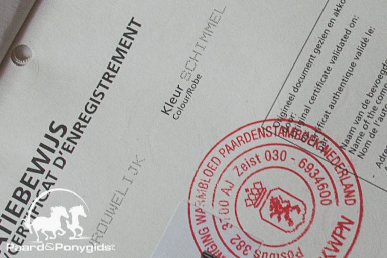 De belangrijkste wijzigingen van het paardenpaspoort
