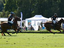 /images/polo putten 21092015.jpg