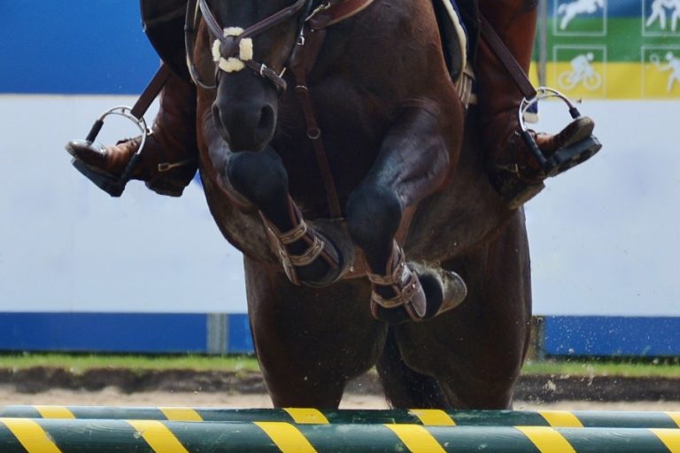 Indoor Brabant: Trotse winnaars KNHS FNRS springcompetitie