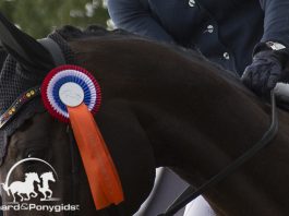 /images/prijs 23112016.jpg