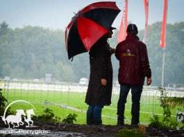 /images/regen 06102016.jpg