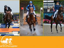 Harrie Smolders in Valkenswaard. Foto: Tabitha de Bie - Paard & Ponygids
