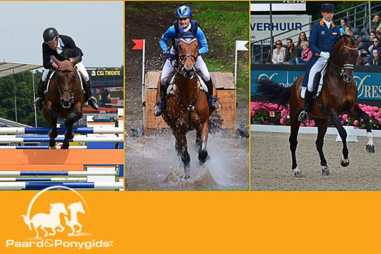 Fans opgeroepen mee te helpen aan behoud Olympische status paardensport
