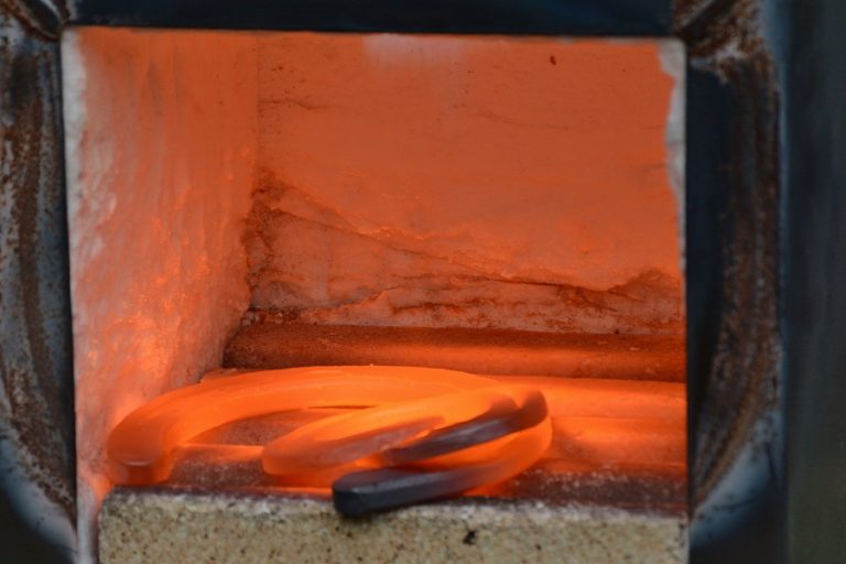 Gertjan Salm opnieuw Nederlands Kampioen Hoefsmeden