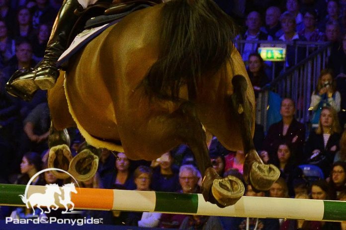 /images/spring 26112016.jpg