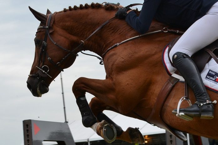 /images/springen 01022016.jpg