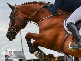 /images/springen 19032016.jpg