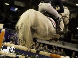 /images/springen 20092017.jpg