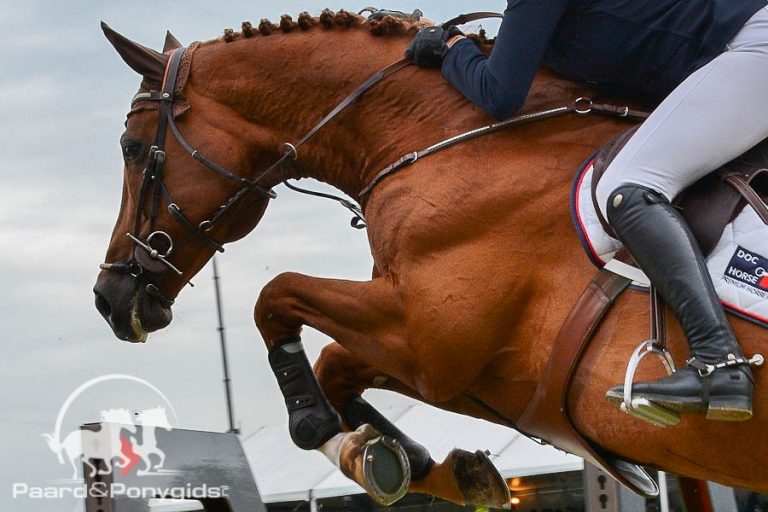 Nederlands ponyteam rijdt naar brons op EK springen