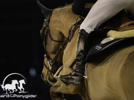 /nieuws/nieuws_img/sprong 07022018.jpg