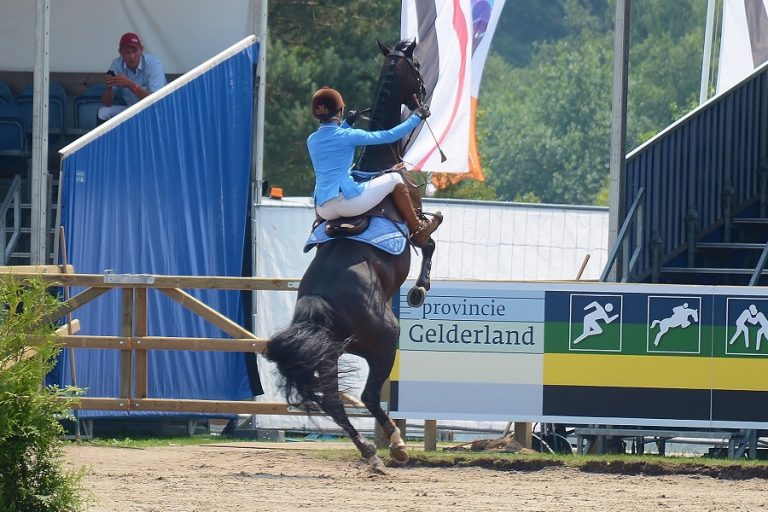 Dertien aanwijzingen dat je het verkeerde paard hebt gekocht