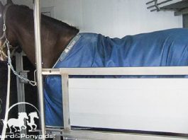 /images/trailer vrachtwagen.jpg