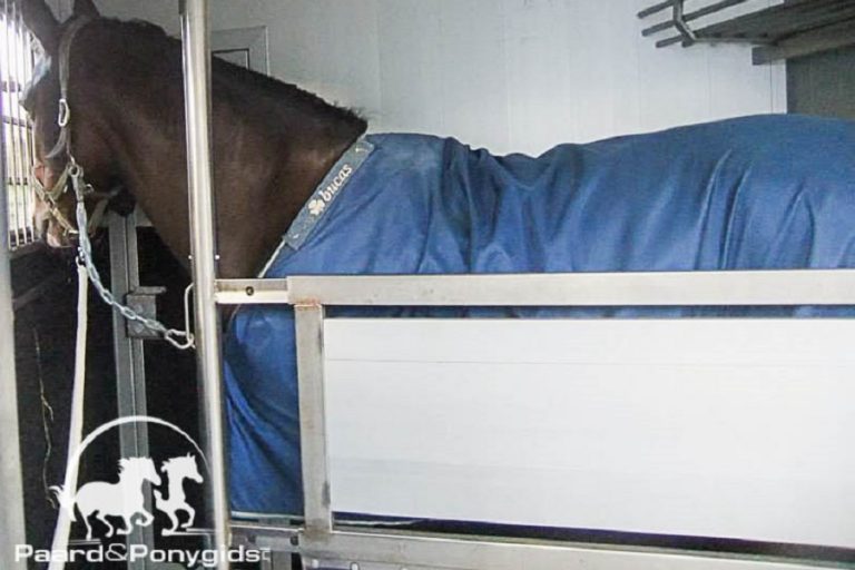 Klassieke muziek heeft een stressverlagend effect op paarden