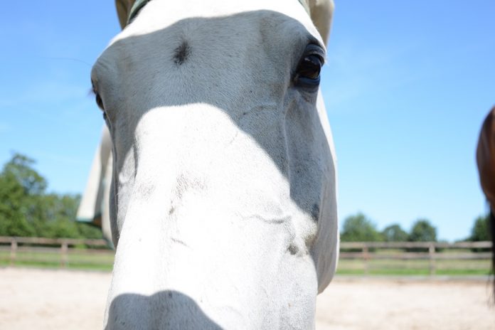 /images/treasure 01102015.jpg