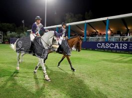 /nieuws/nieuws_img/vienna eagles 10072016.jpg