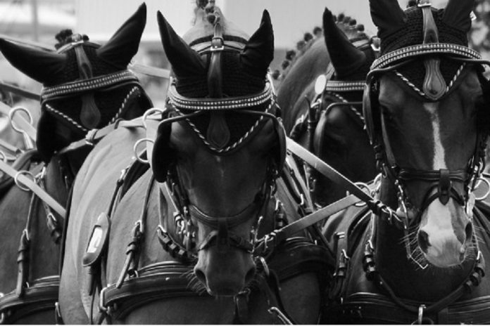 /images/vierspan 13122015.jpg