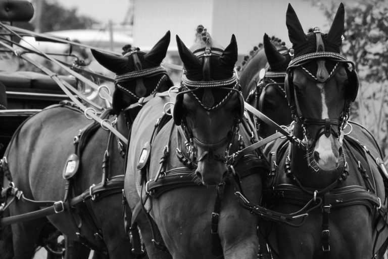 WB: winst voor Chardon in Stockholm, De Ronde 2e in Madrid