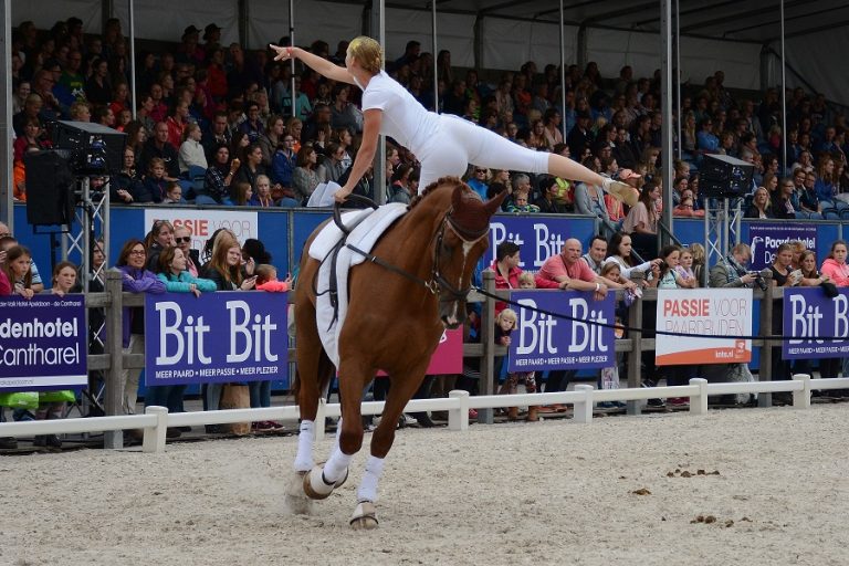 Eerste KNHS Voltige Cup voor team Lichtenvoorde 2